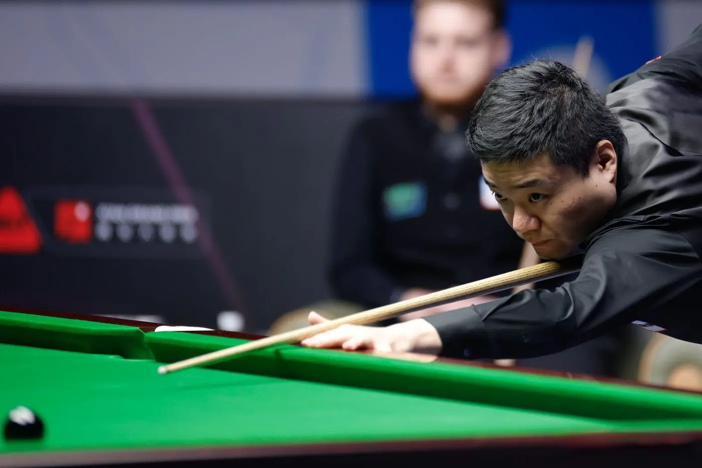 囧哥墨菲苦, 他今年五月 囧哥墨菲苦, 他今年五月